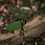 M-Tac Viper Lanyard Scandinavian med grønt paracord og Viper-perle vedhæftet til en kniv i udendørs miljø.
